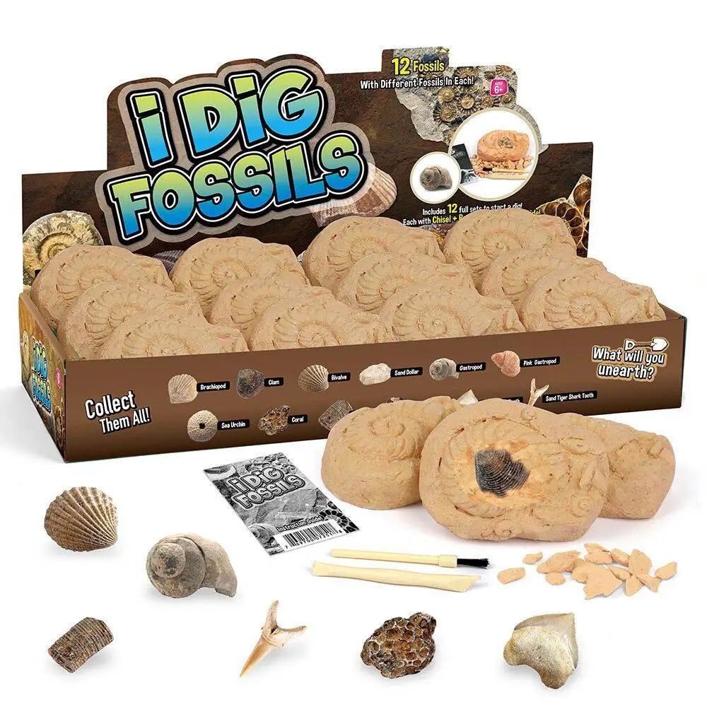

Children dig real ore crystal treasure diamond toy natural fossil specimen boy archaeological digging treasure blind box