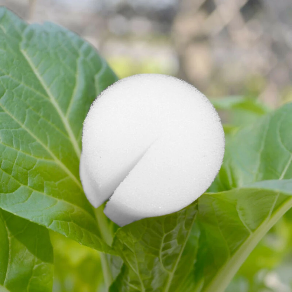 100Pcs Soilless Hydroponic Cylinders Sponge Plants Vegetable Seed Cultivation System For Fixing Nursery Pots Plants Root