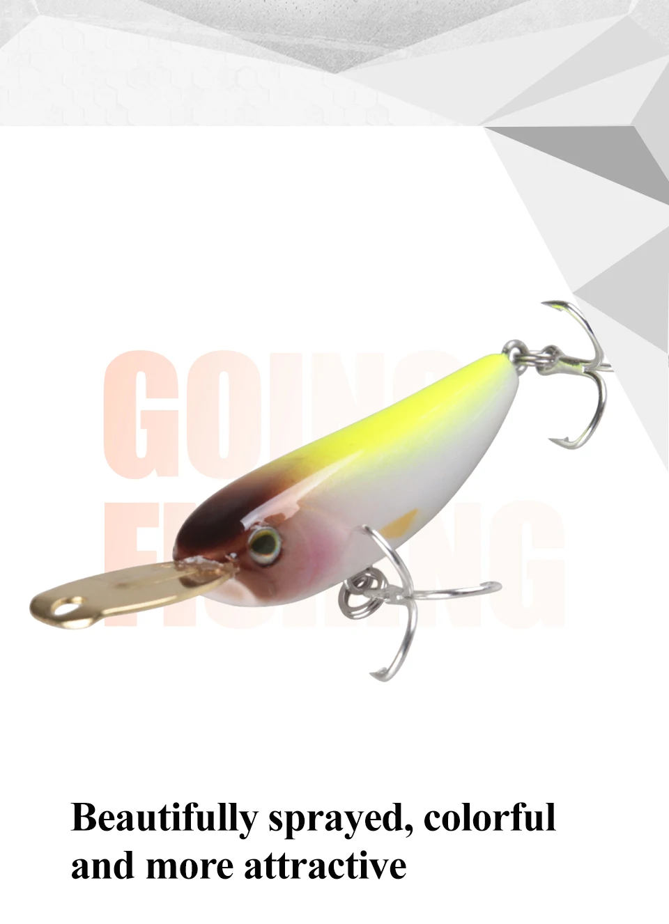 铁舌板米诺国外_07