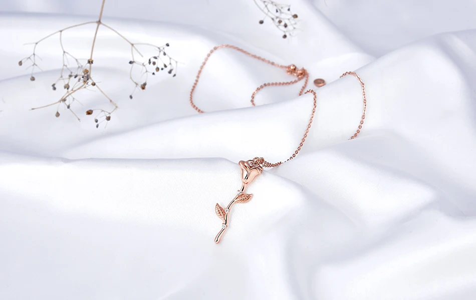 EQN06-SCENE-DSC_9135-R