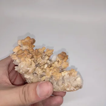 

dohaibogoo new healing specimen-189g Natural Stalactite Specimen Hot Sale #XQ564