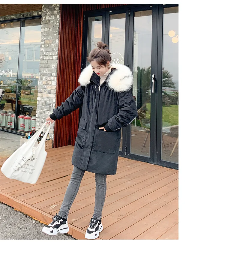  pleuche cotton1_24.jpg