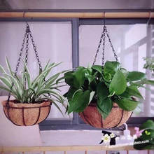 

2Pcs Half Round Coconut Fiber Flower Pot Planter Hanging Plant Basket Liner Flower Pot Planter Hanging Plant Basket Liner Flower