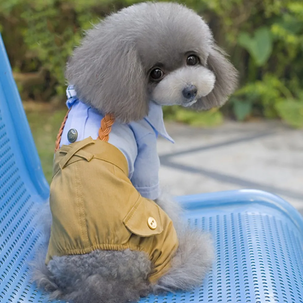 

Autumn Spring Cool Dog Clothes Dog Jumpsuit Romper Bib Pants Cute Pet Coat Jacket Bow For Pet Dog Chihuahua Clothing