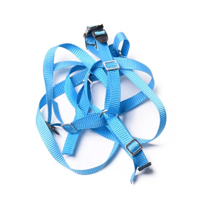 

RC Crawler Spare Tire Wheel Anti-Slip Belt for RC Car Traxxas Axial SCX10 RR10 90050 TRAXXAS UDR LOSI BAJA 1PCS,Blue