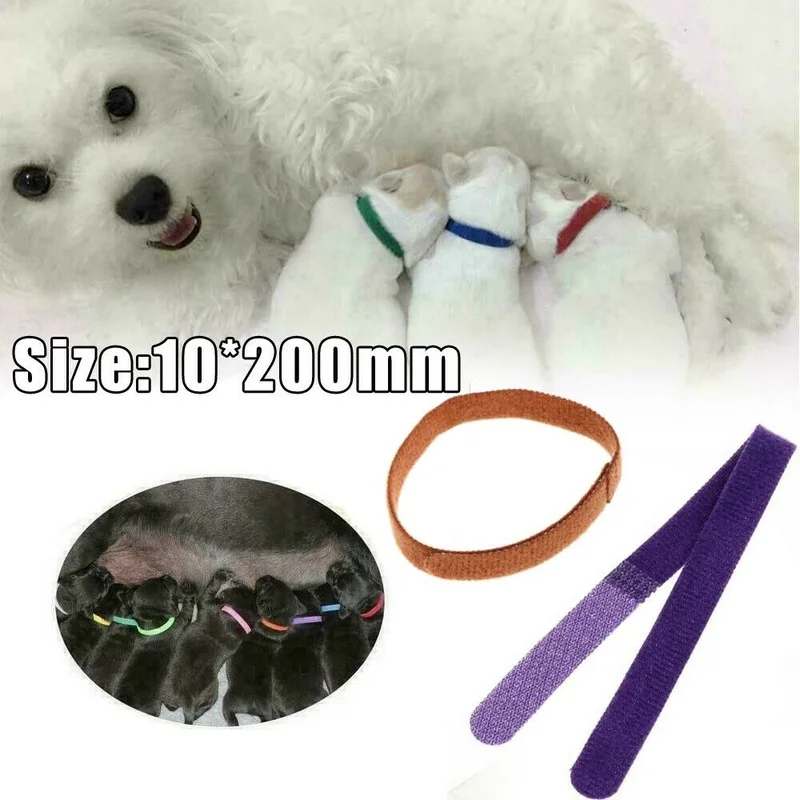 12 Pcs/Set Puppy Newborn Pets Identify Adjustable Nylon Dog Collars