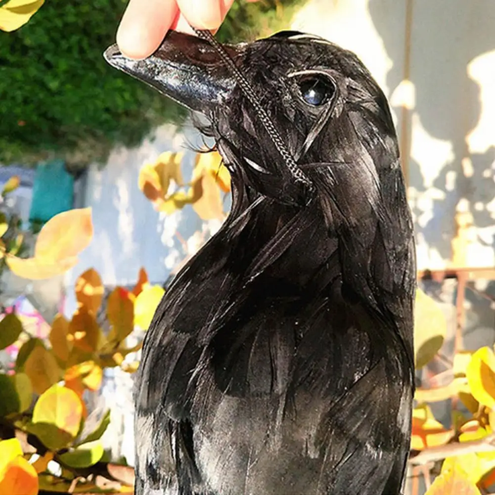 Saver Prices Guarantee Pay secure 43cm Realistic Hanging Dead Crow