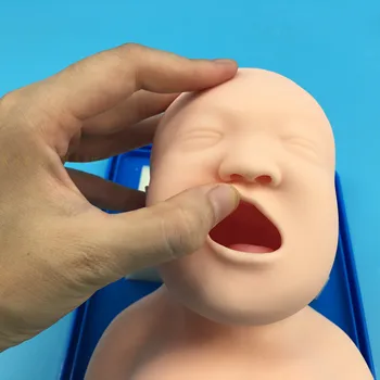

Newborn infant tracheal intubation model human tracheal intubation training model