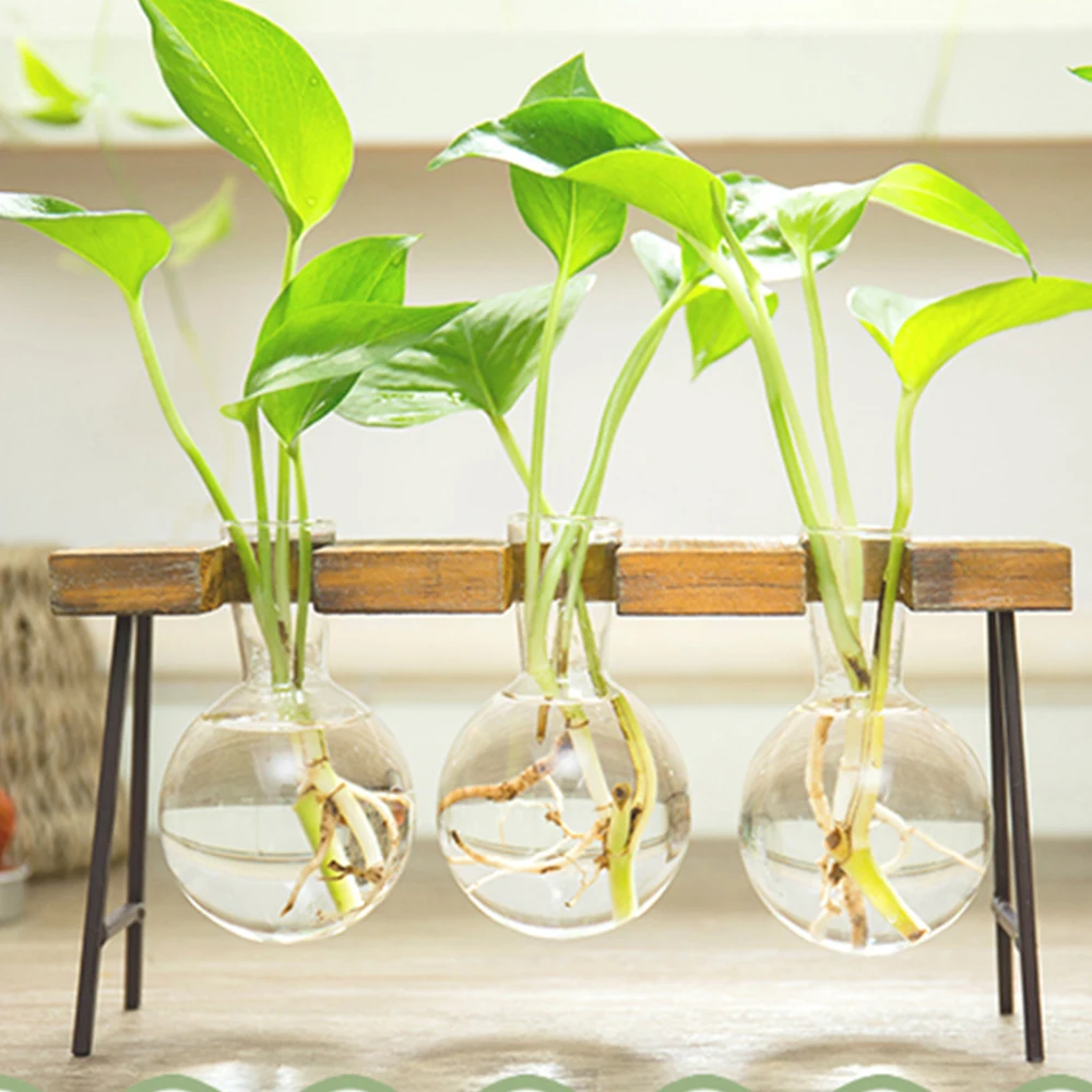 Terrarium Hydroponic Plant Vases Glass Vase Planter Vintage Flower Pot Tabletop Decoration Vase with Wooden Tray Home Decor 3