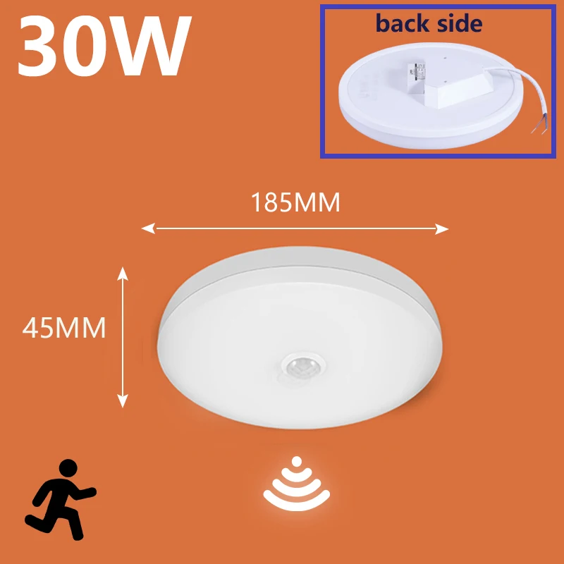Motion Sensor LED Ceiling and Wall Light for Home and Hallway - Night Light Function, Energy Efficient
