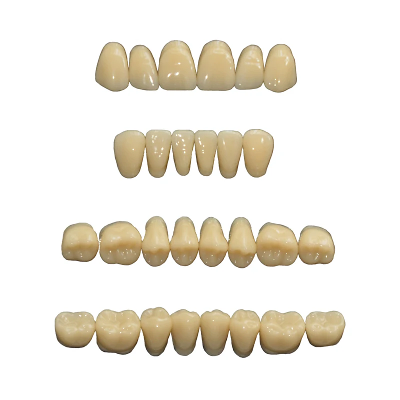teeth1