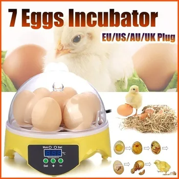 

Mini Digital 7 Eggs Incubator Automatic Temperature Brooder Chicken Duck Bird Egg Hatcher 110 220V Farm Poultry Hatchery Machine