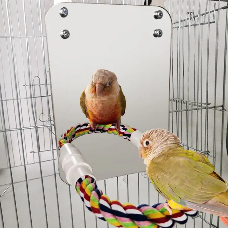 Попугай веселый, для животных игрушечное зеркало Cockatiel Маленькие Птицы попугаи укус стенд для лазания