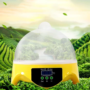 

7 Eggs Capacity Chicken Eggs Bird Incubator Egg Rack Tray Automatic Intelligent Control Quail Parrot Incubation Tool EU Plug