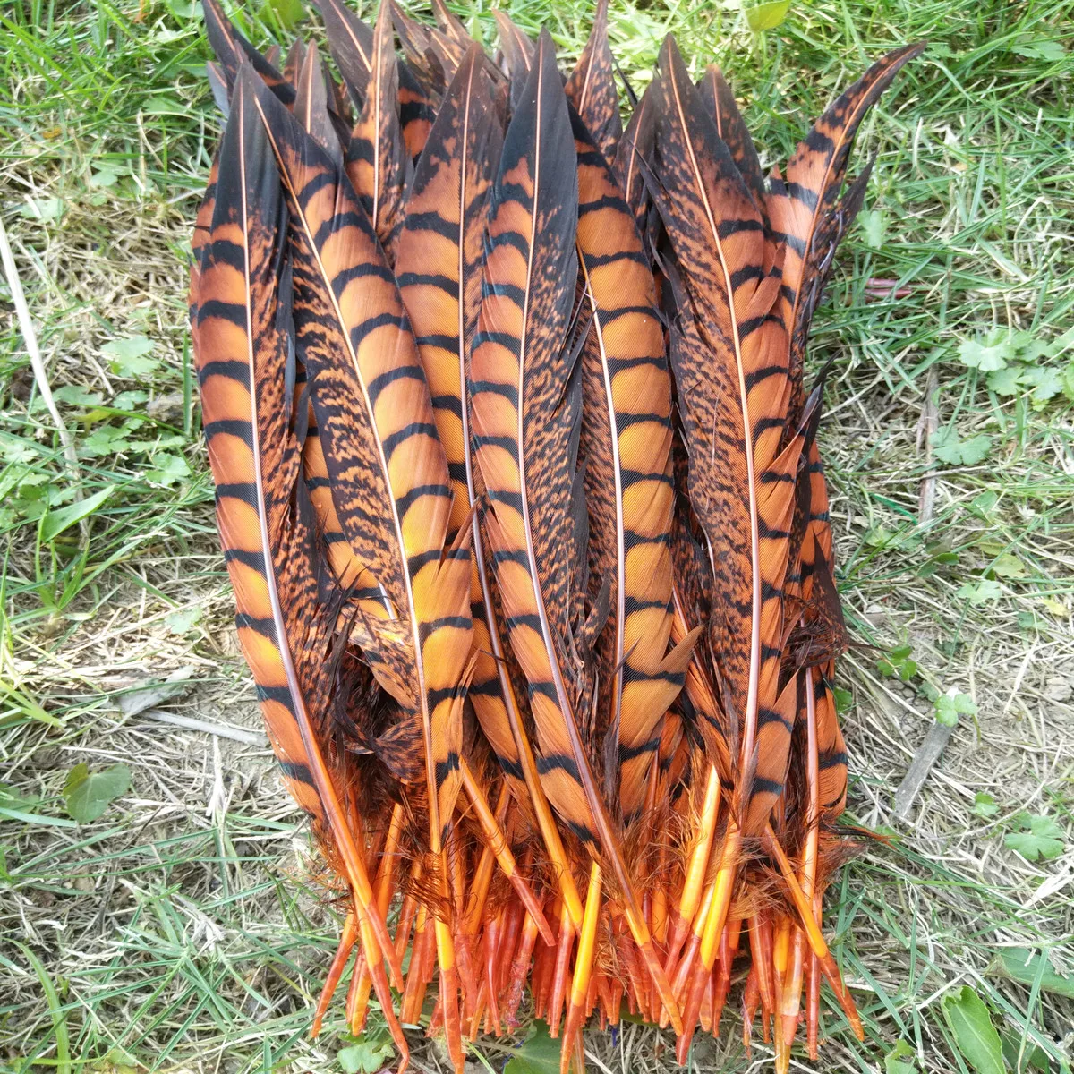 Hot Selling 10pcs Beautiful Orange Copper Tail Chicken Feathers 10-12inch/25-30cm DIY Jewelry Stage Performances Decoration