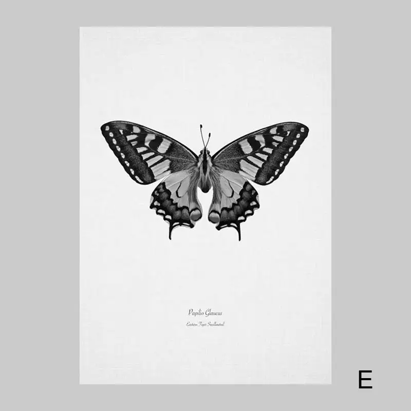 Nordic-Poster-Black-And-White-Pictures-Feather-Paintings-Butterfly-Art-Print-Abstract-Posters-And-Prints-Living (7)