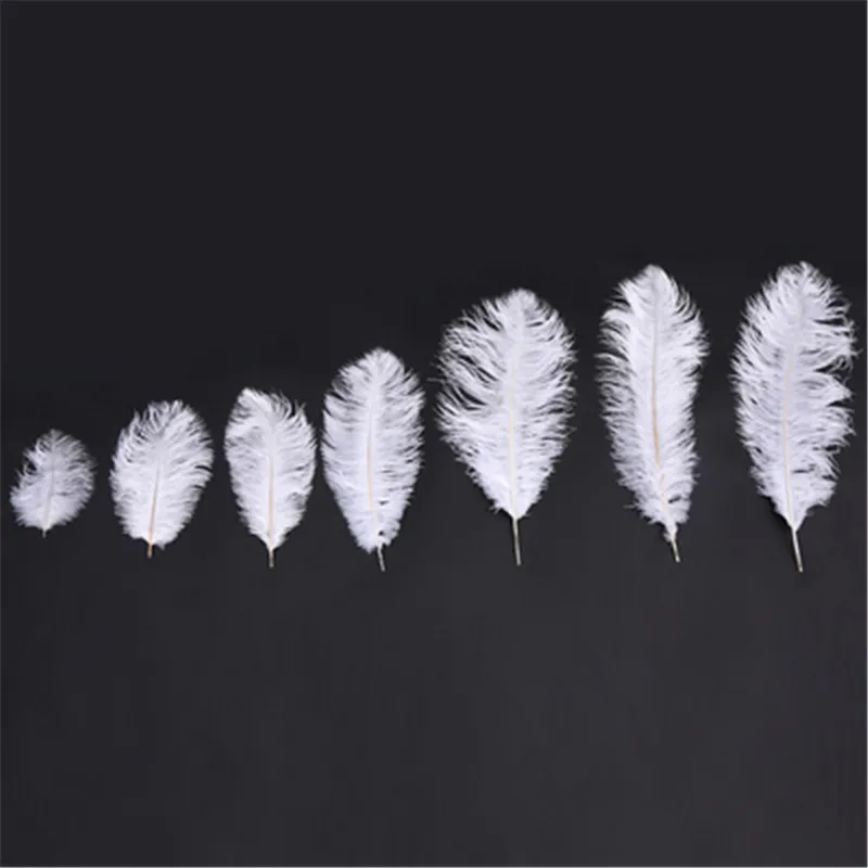 WiseGoods Set De Luxe Plumes D'Autruche - Décoration De Mariage Ressorts - Accessoires
