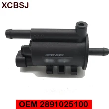 2891025100 клапан управления очисткой вейпа для Kia Rondo Carens Sorento 06-14 для Hyundai TUCSON ix35 10- SORENTO SANTA FE 09 2891025100 клапан управления очисткой вейпа для Kia Rondo Carens Sorento 06-14 для Hyundai TUCSON ix35 10- SORENTO SANTA FE 09
