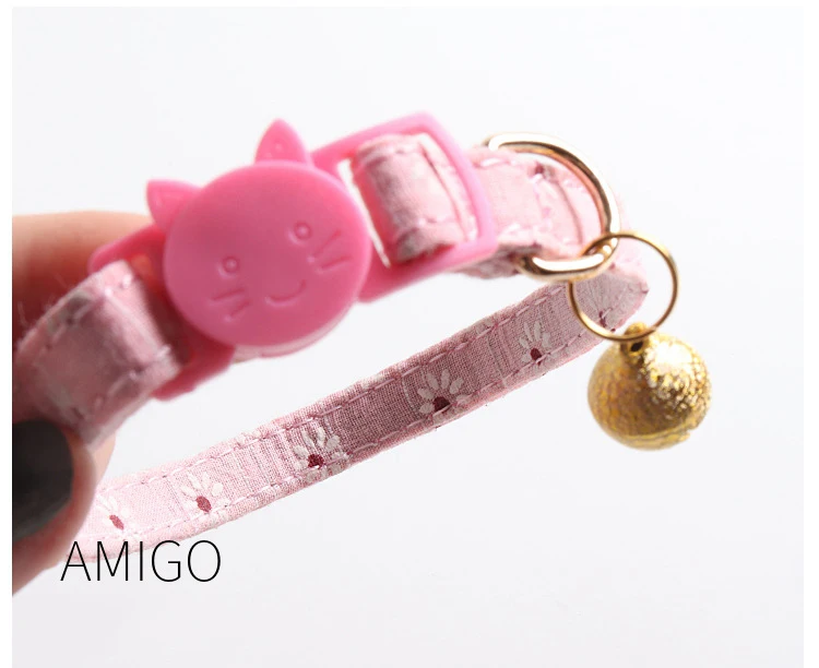 6 - 11495442591_307791824