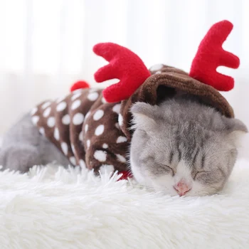 

Kitten Clothes Autumn Winter Clothes Kittens Blue Cats Cute Kittens Garfield Cats Pet Clothes Puppy Clothes BB5WY033