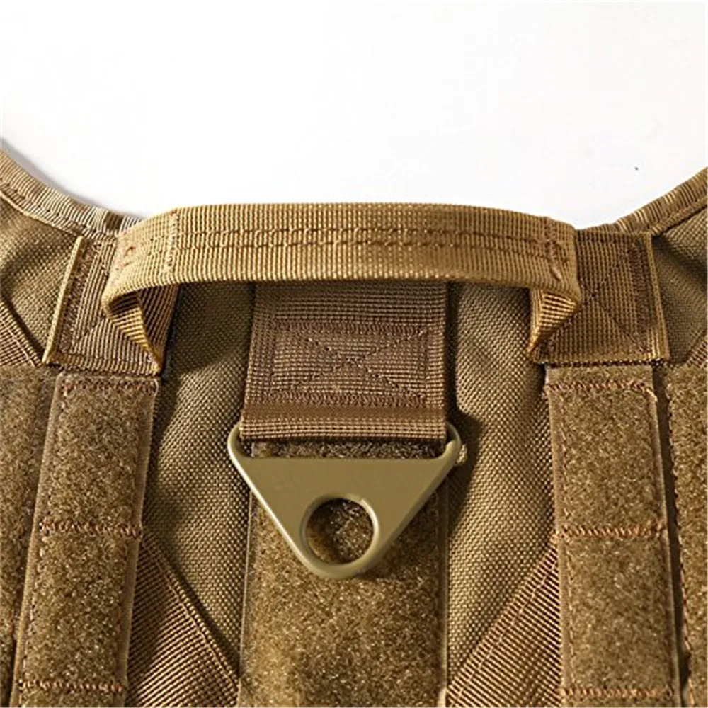 Harness