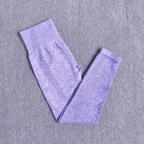 Purple pants 2 шт., женские спортивный костюм, бесшовный комплект для йоги, спортивный комплект, высокая талия, леггинсы для бега, спортивные топы для фитнеса, одежда, спортивная одежда - Color: Purple pants
