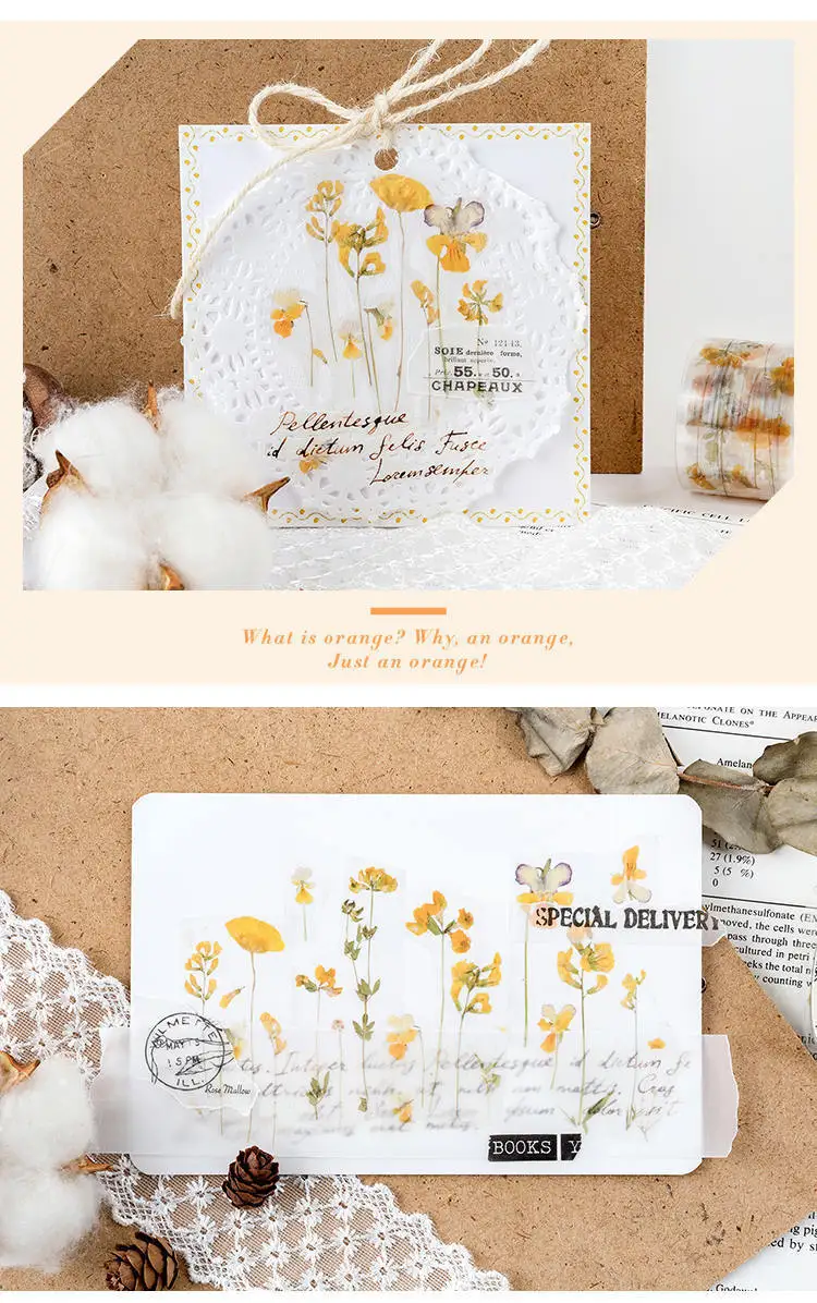 O1CN01bJhnBX1mQEGDiOlJZ-665554948