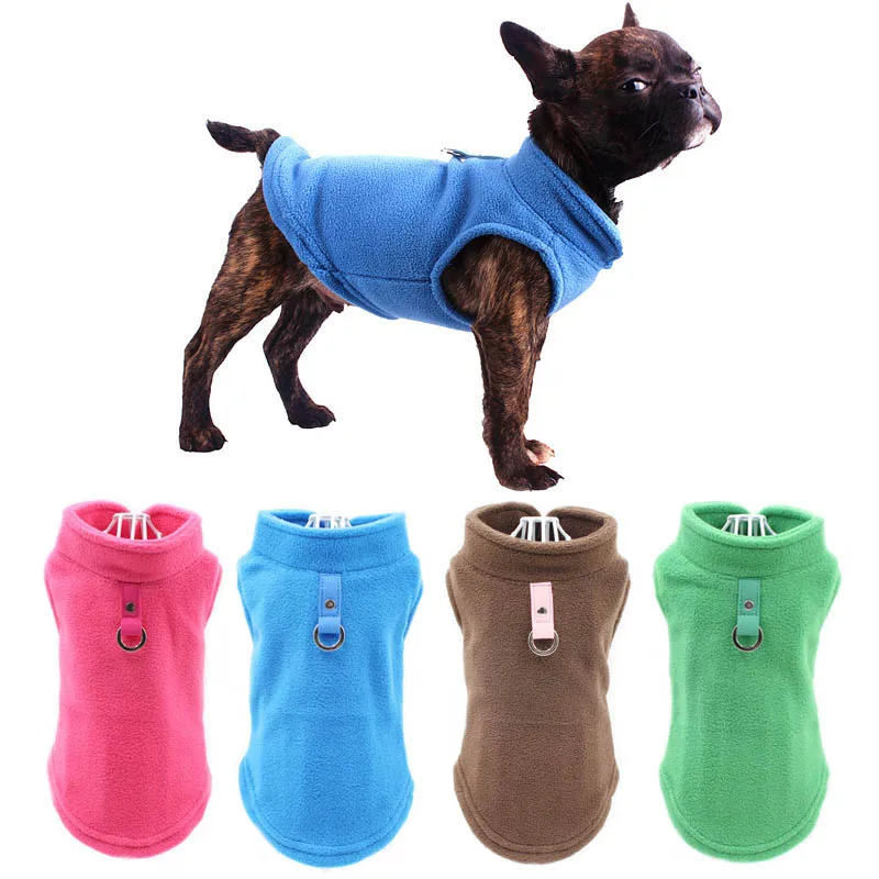 Одежда Для Щенка Чихуахуа Купить