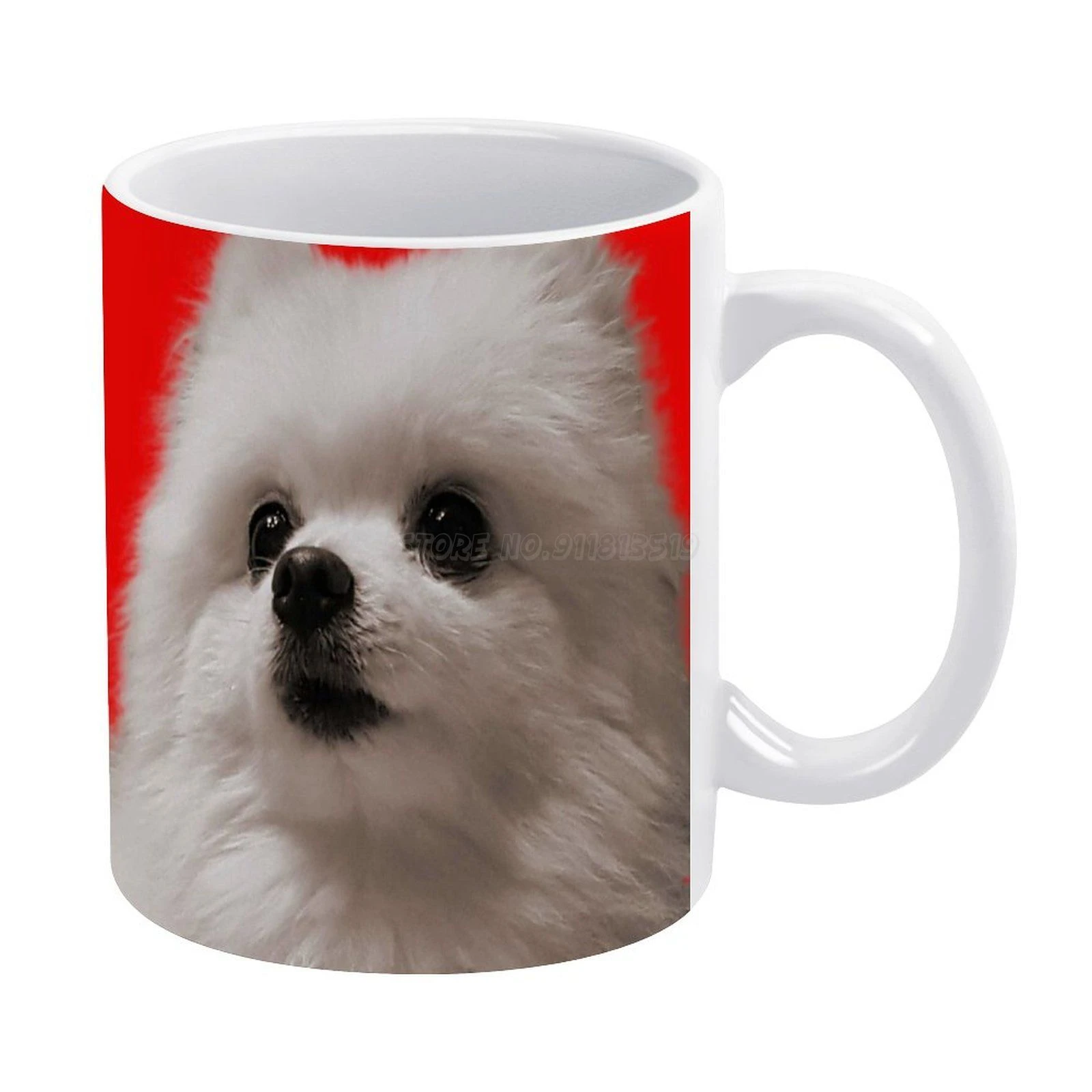 Who Did Gabe The Dog Belong To