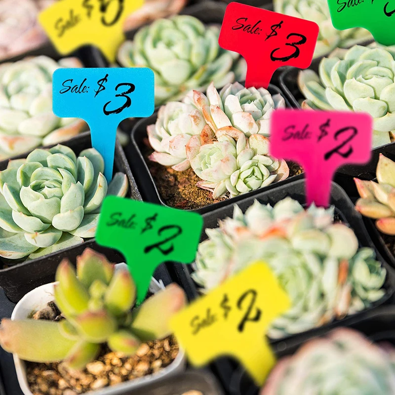100pcs Colorful Plant Tags T-type Garden Bonsai Succulent Seedings Tags Flower Pot Plants Garden Ornaments  Indoor Garden Labels (3)