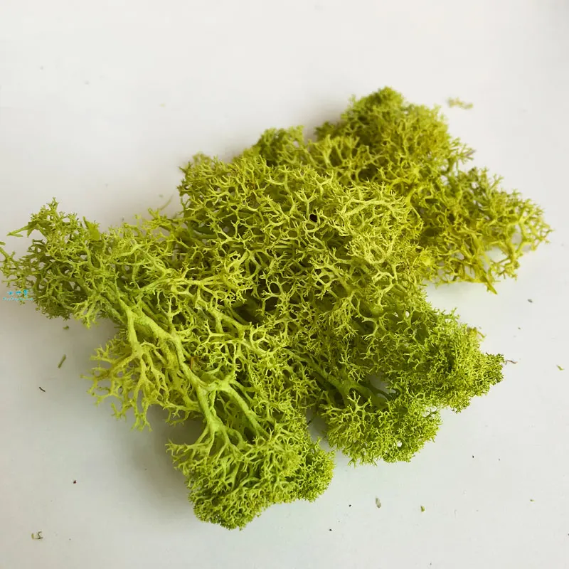 Yellow Green 30 г кластер лишайного мха для кустов, модель деревьев, листва, масштабная модель, строительный материал, миниатюрная модель дерева, макет DIY dioramas - Цвет: Yellow Green