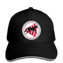 Мужская бейсболка клинический опыт с радиальной ударной волной терапия волейбол Federation Fivb бейсболка кепка с логотипом