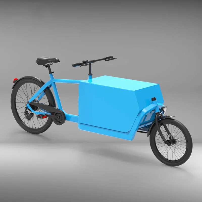 250w Hub Motor Electric Bicycle Pedal 2 