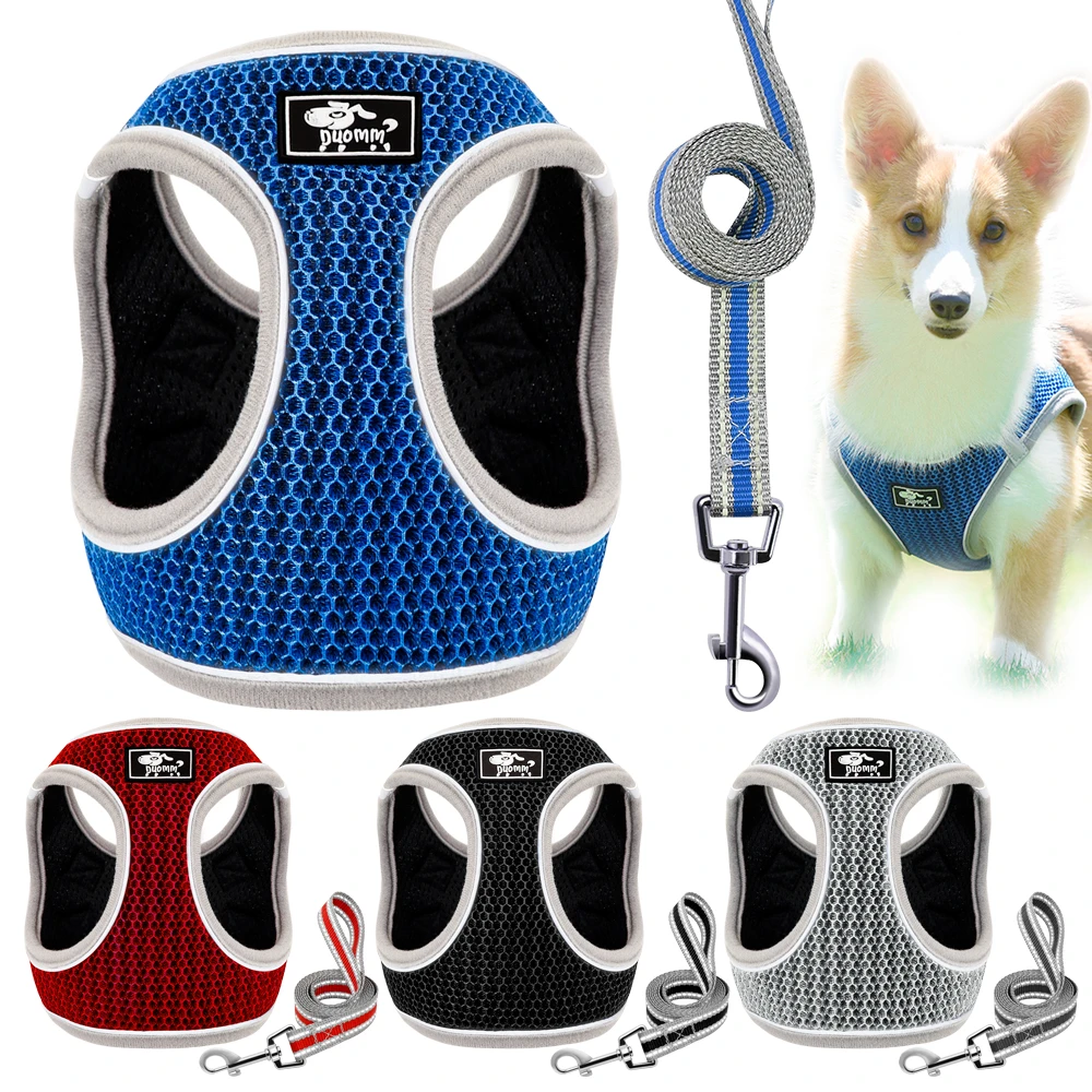 step in dog harness for small dog