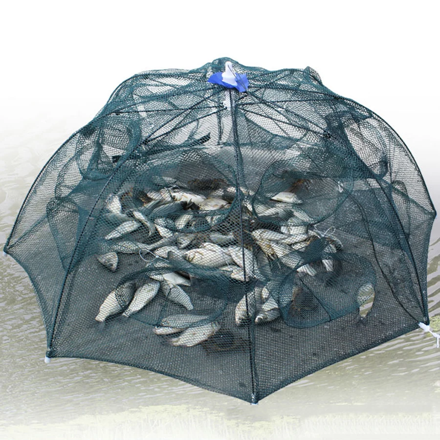 Filet de pêche pliable automatique Portable, Type piège à parapluie, Cage à  crevettes, crabe, piège à poisson, filet de fonte 6/8/10/16/20 trous