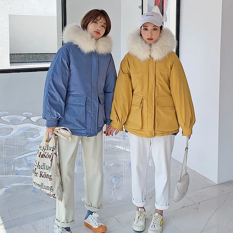 

Cotton Coat Women's 2019 Winter New Style Faux Fur Loose-Fit Warm Cold Zipper Cotton-padded Clothes Jacket