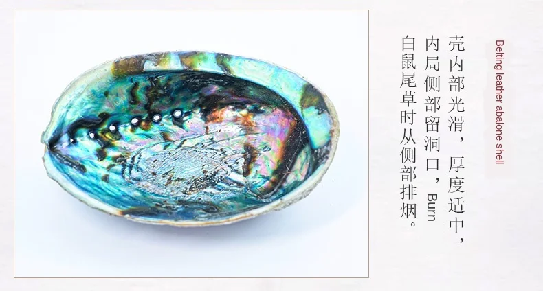 H8941000e71d749dabb7fc118aa6b4ac6M.jpg?width=790&height=424&hash=1214