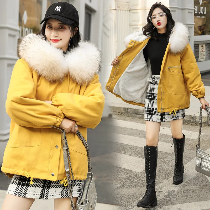

Solid Color Korean-style Trend Mid-length Lambs Wool Cotton-padded Clothes/Cotton Coat 2019 Winter Versatile xiu xian single Ove