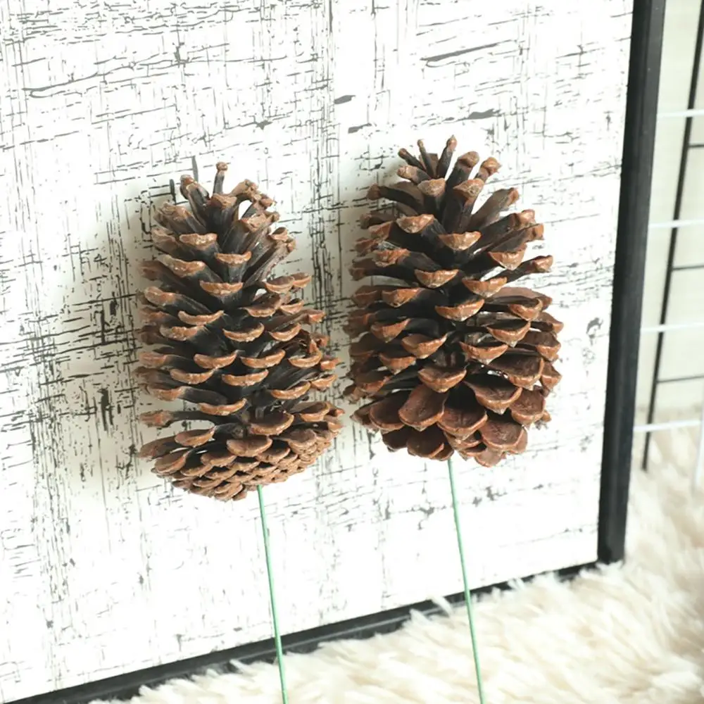 

Creative Gifts Dried Decorative Flowers Handmade Natural Pine Cone Acorn For Home Party Decoration SWWQ