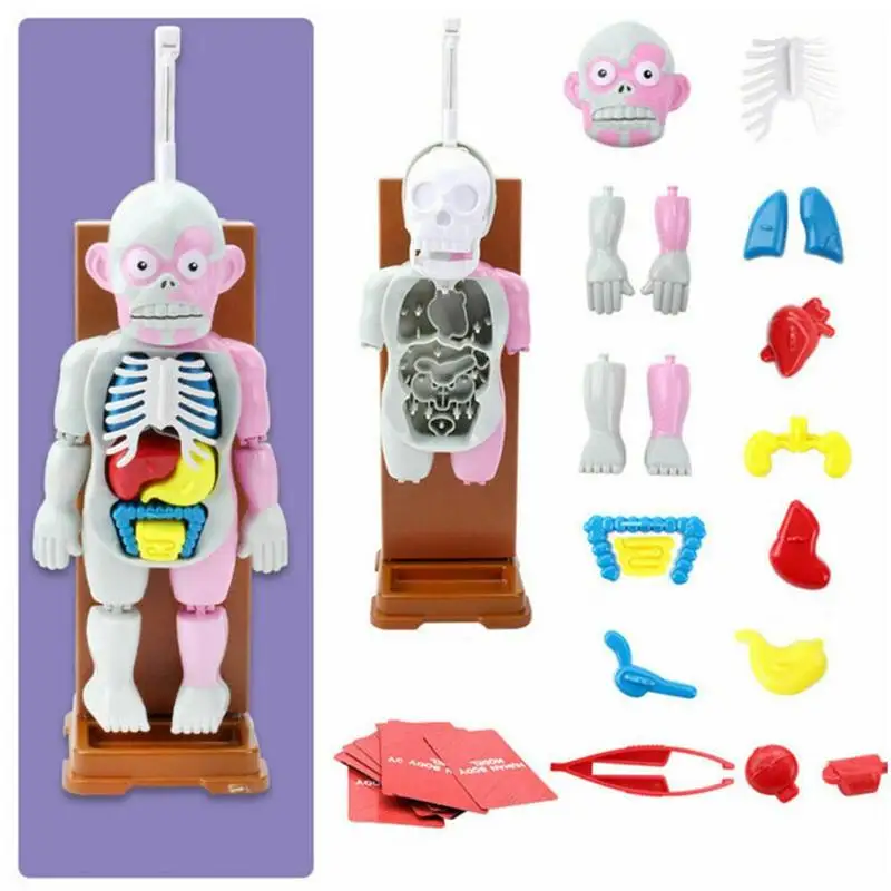 

4d Assembling The Mannequin Human Body Model Trick Joke Novelties Gag Gift Assembled Toy Practical Educational For Kids Children