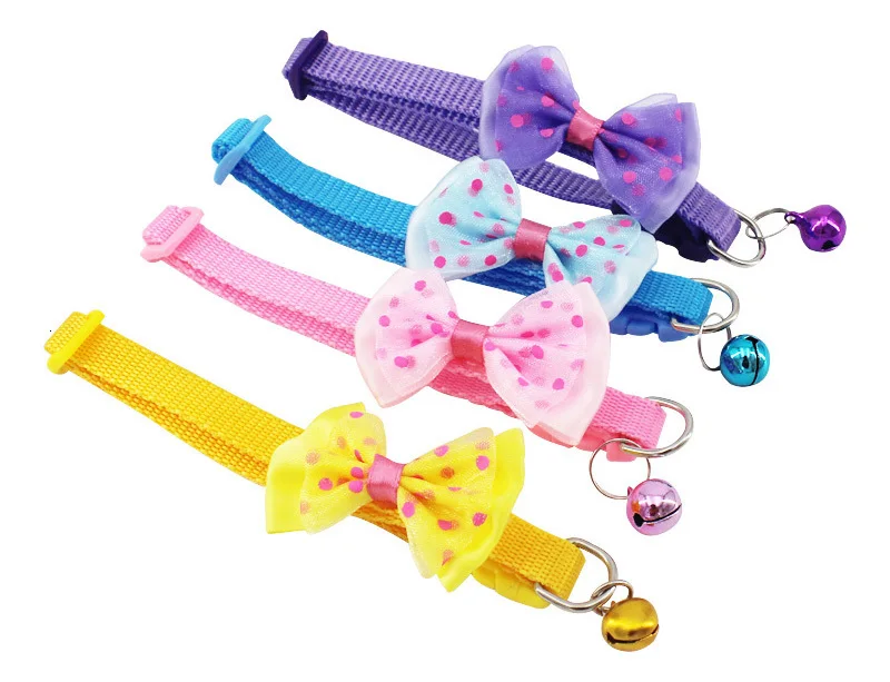 chihuahua collar-