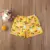 2020 0-4T Toddler Baby Boy Girl Kids Shorts Bottoms Summer New Cartoon Pineapple Print Swimming Panties Beach Holiday Shorts