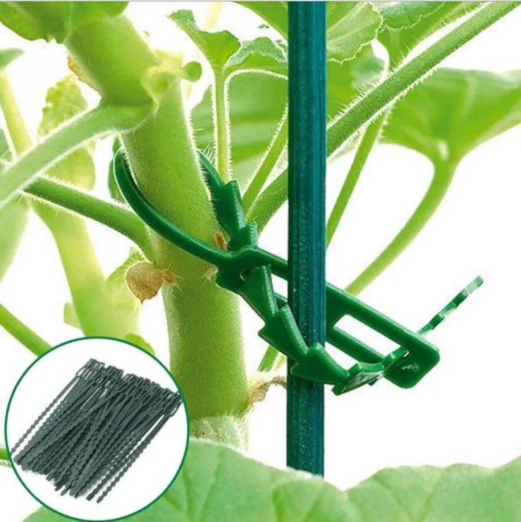 50pcs Adjustable Plastic Plant Cable Ties Reusable for Garden Tree Climbing Support 13.5cm Tools | Дом и сад