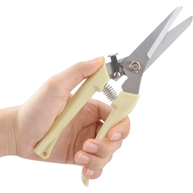 Discover more than 139 goat nail cutter latest noithatsi.vn