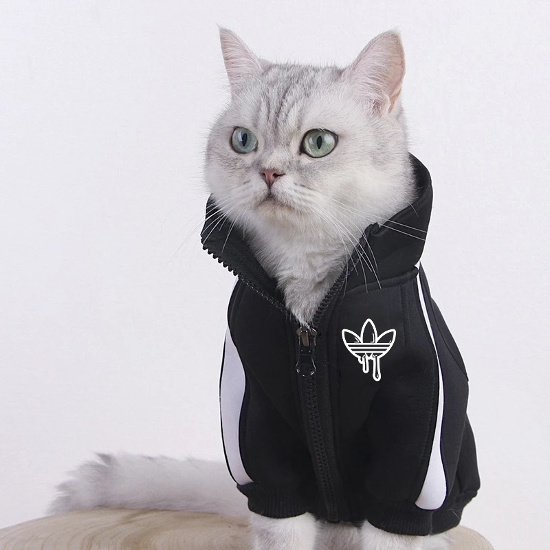 hoodies for cats