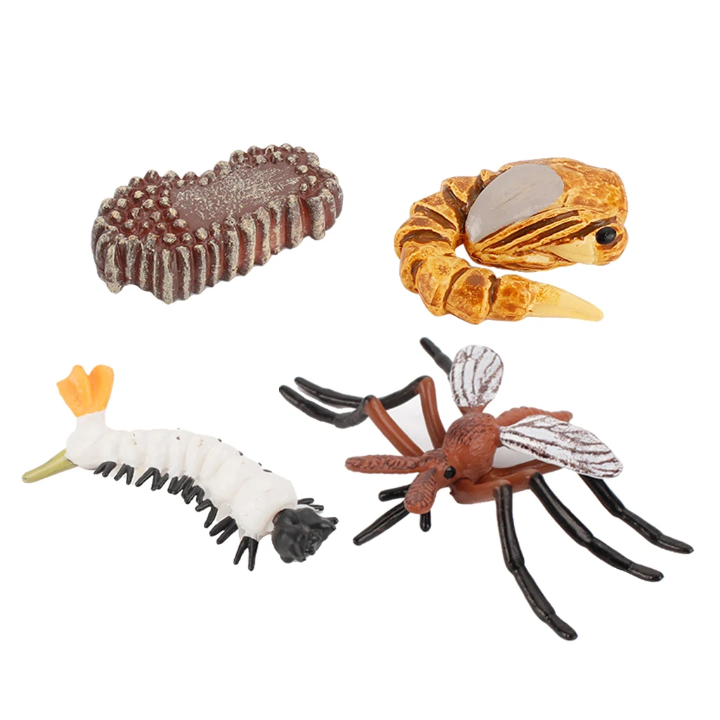 Early Kids Toddlers Simulation Animals Growth Cycle Toy Pretend Play Animal Growth Cycle Teaching Aids Early Educational Toy