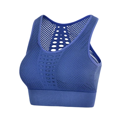 Blue Sports Bra Бесшовный спортивный бюстгальтер для женщин, спортивный бюстгальтер для спортзала, топ, пуш-ап, бюстгальтер для йоги, фитнеса, спортивный бюстгальтер, женское сексуальное нижнее белье, женский спортивный топ - Цвет: Blue Sports Bra