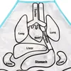 Children Anatomy Apron Human Body Organs Awareness Preschool Science Home School Teaching Aids Early Educational Toys 4