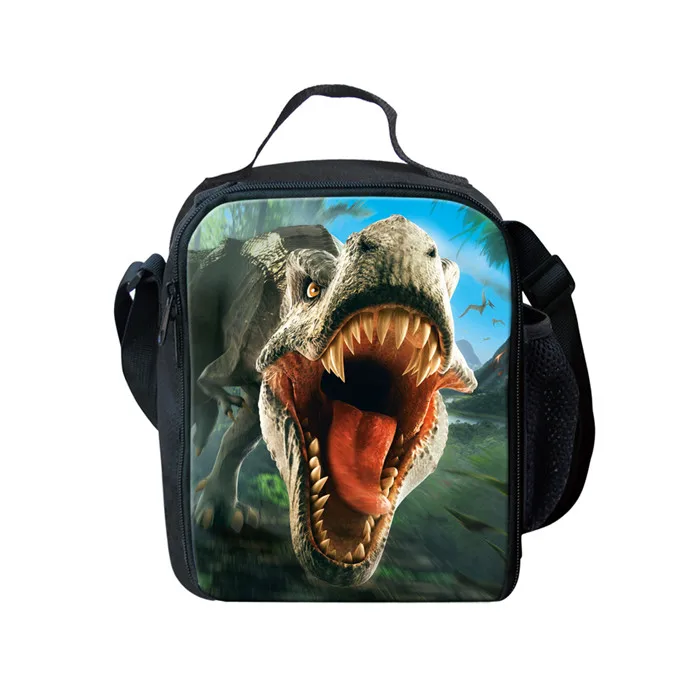 Nopersonality крутой T-rex динозавр школьные сумки набор книжные сумки для подростков мальчиков 3 шт. основной рюкзак с ланч бокс пеналы - Цвет: Z5217G