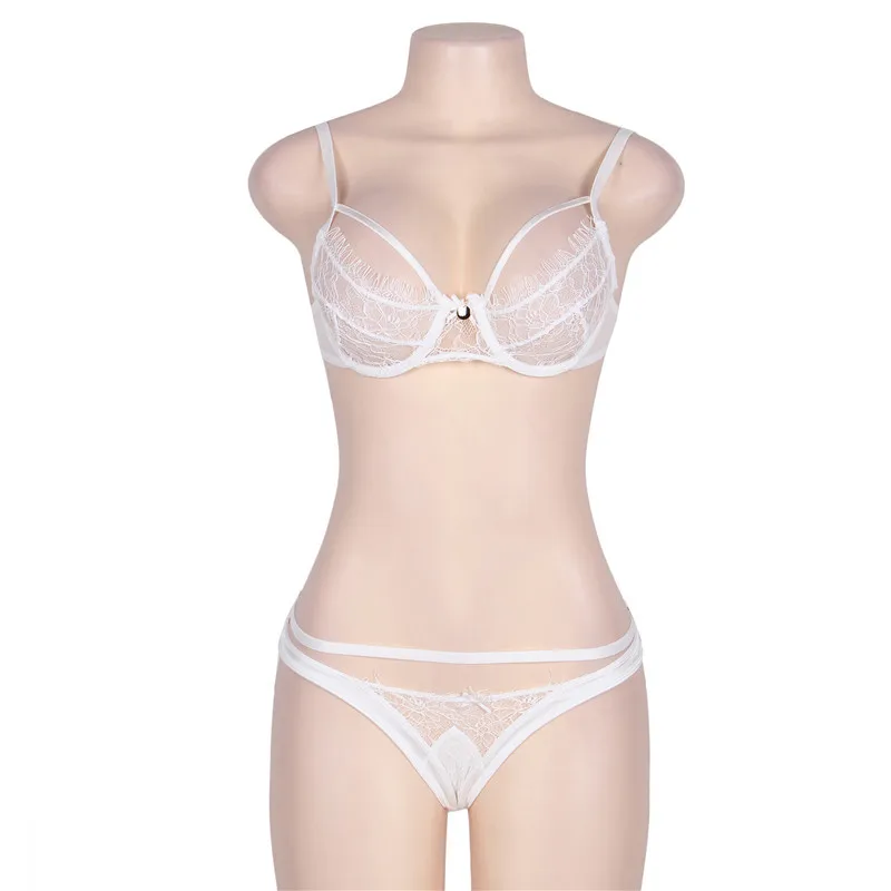 R80293-2 (1)